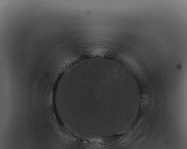 X0000097970504200804011724