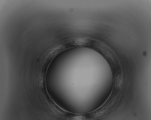 X0000097970505200804011724