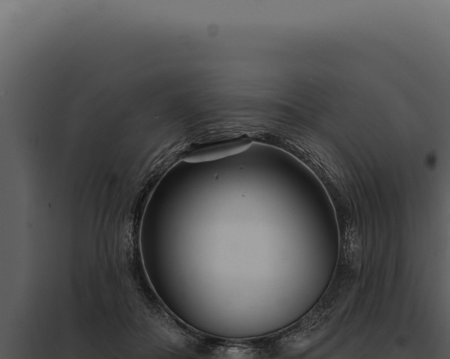 X0000097970506200804011724