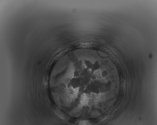 X0000097970507200804011724