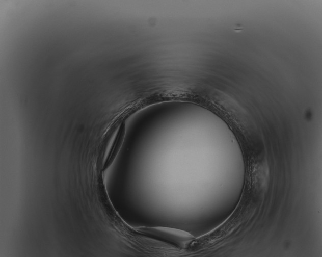 X0000097970508200804011724