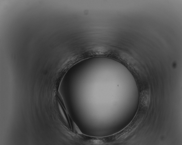 X0000097970509200804011724