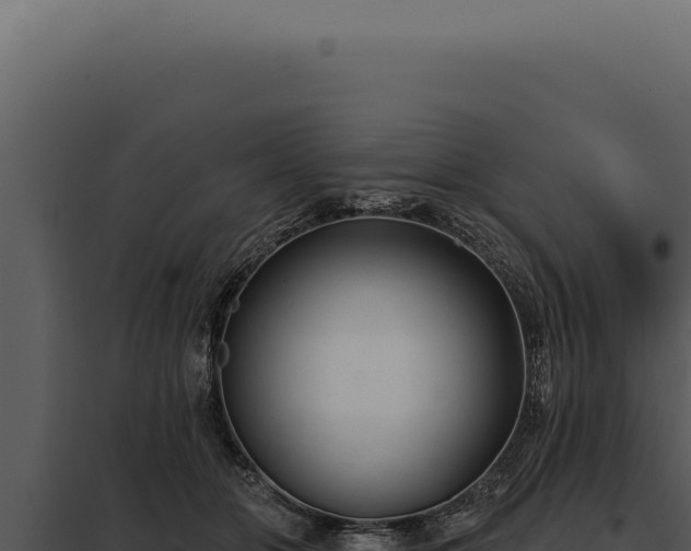 X0000097970510200804011724