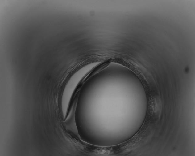 X0000097970512200804011724