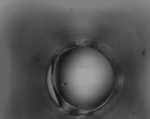 X0000097970513200804011724