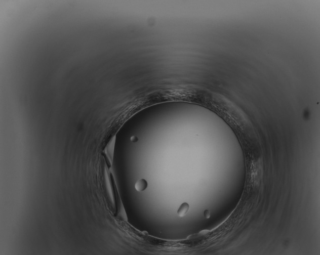 X0000097970514200804011724