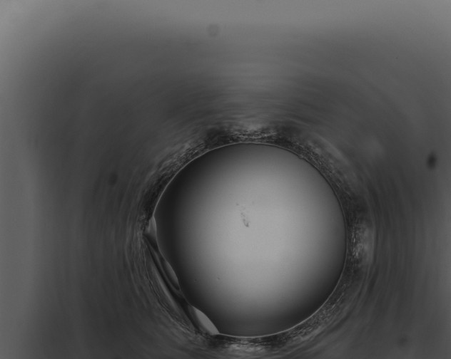 X0000097970515200804011724