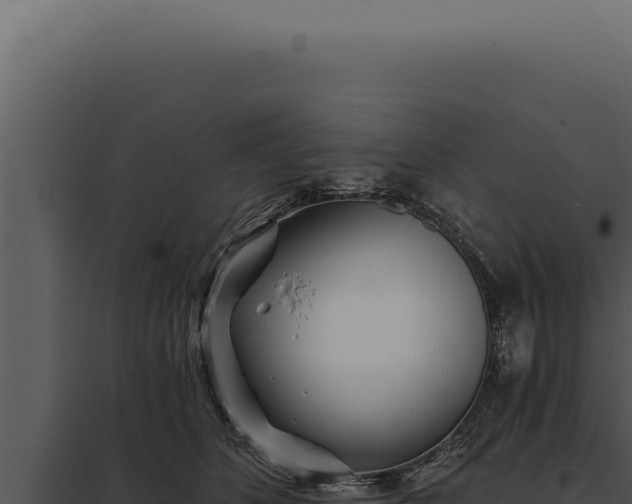 X0000097970516200804011724