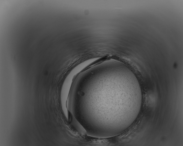 X0000097970517200804011724