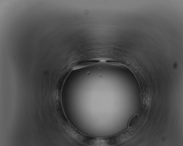 X0000097970518200804011724