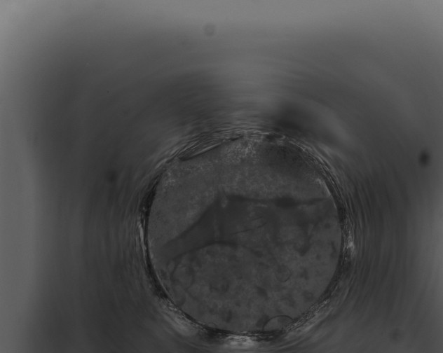 X0000097970519200804011724