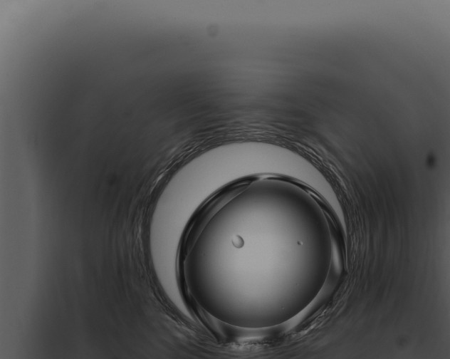 X0000097970520200804011724