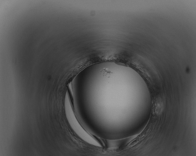 X0000097970521200804011724