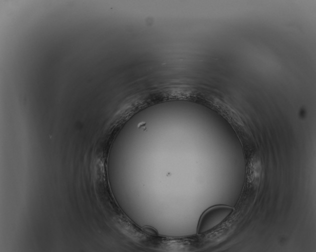 X0000097970522200804011724