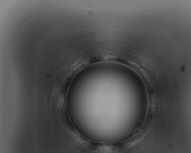 X0000097970523200804011724