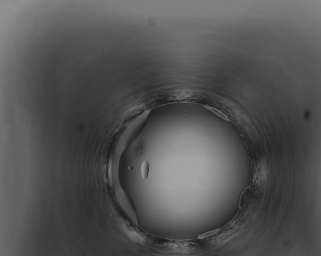 X0000097970524200804011724