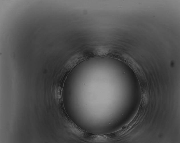 X0000097970525200804011724