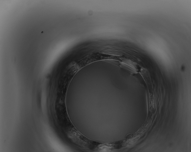 X0000097970526200804011724