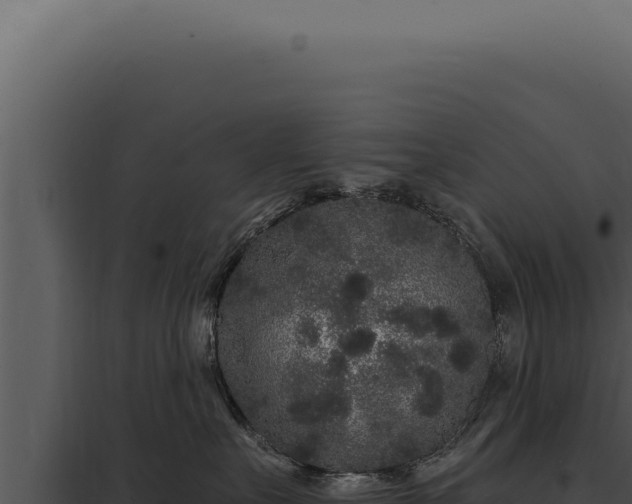 X0000097970527200804011724