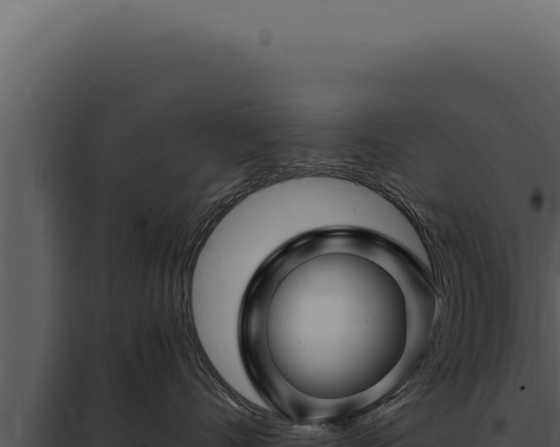 X0000097970528200804011724