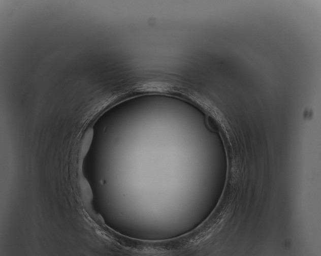 X0000097970529200804011723