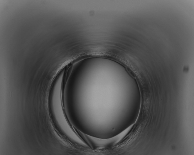 X0000097970530200804011723