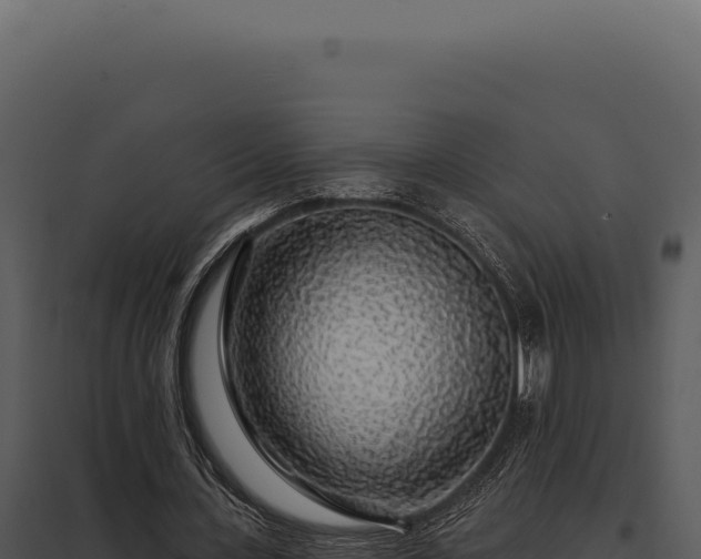 X0000097970531200804011723