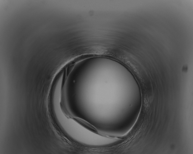 X0000097970532200804011723