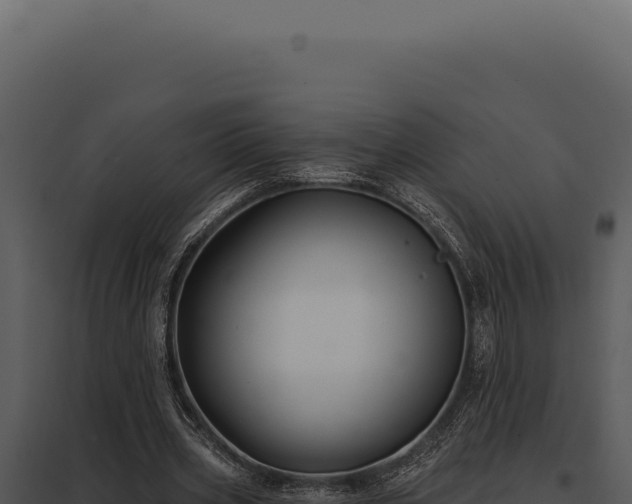 X0000097970533200804011723