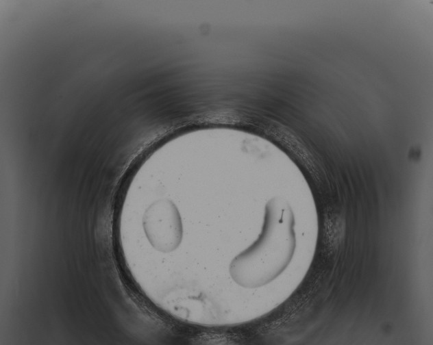 X0000097970534200804011723