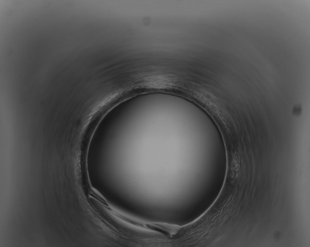 X0000097970535200804011723