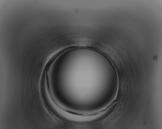 X0000097970536200804011723