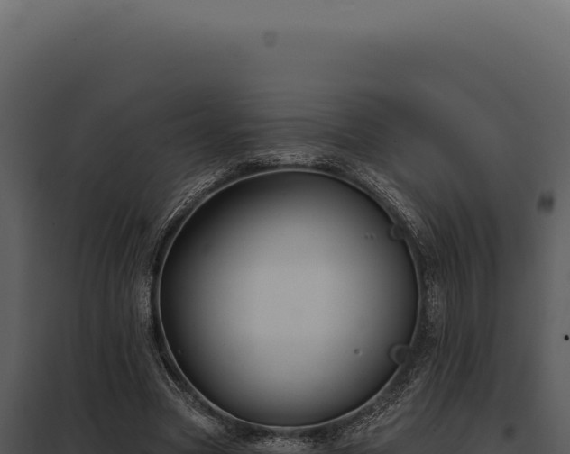 X0000097970537200804011723