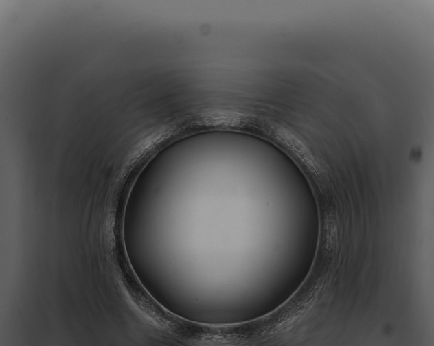 X0000097970538200804011723