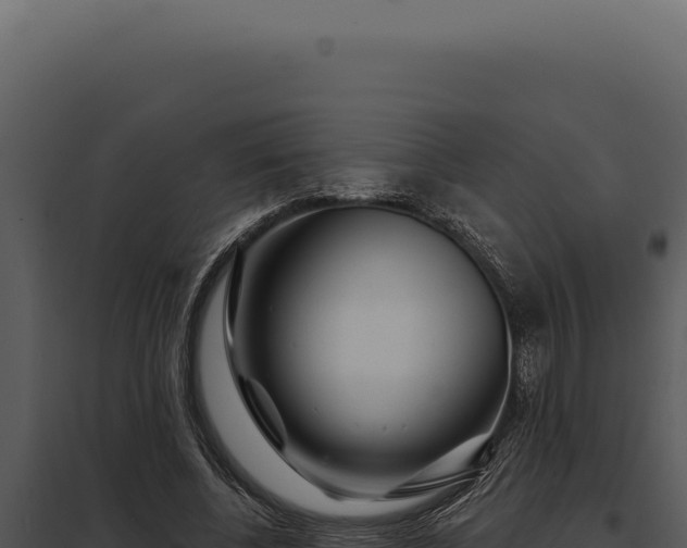 X0000097970540200804011723