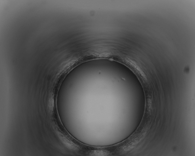 X0000097970541200804011723