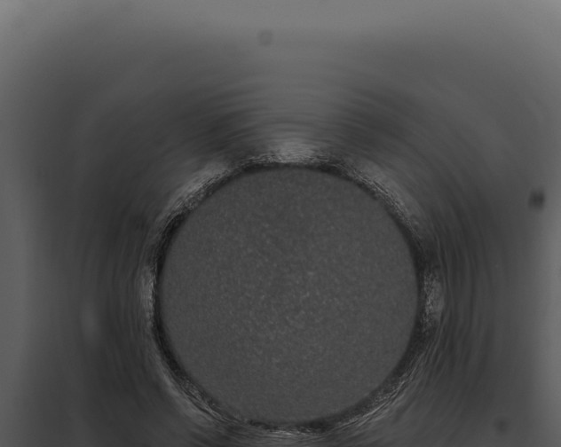 X0000097970542200804011723