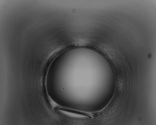 X0000097970543200804011723