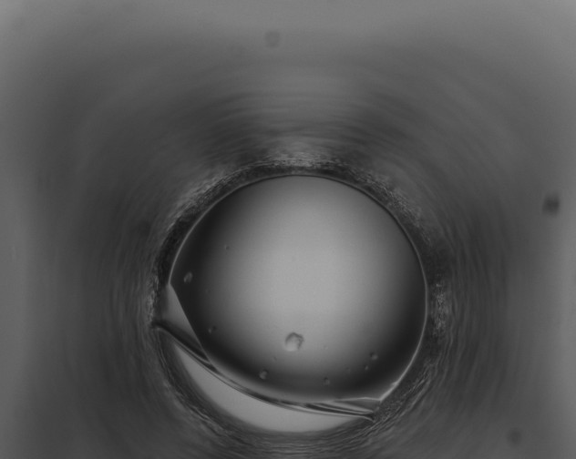 X0000097970544200804011723