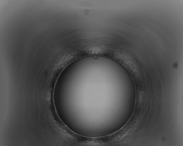 X0000097970545200804011723