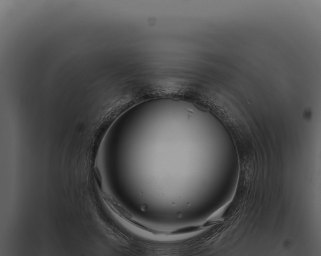 X0000097970546200804011723