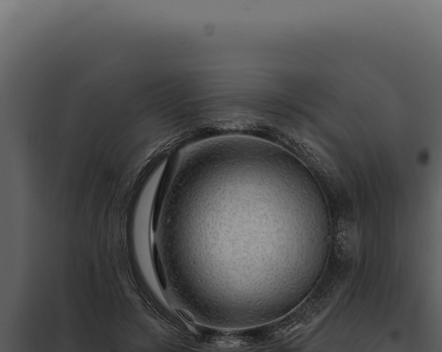 X0000097970547200804011723