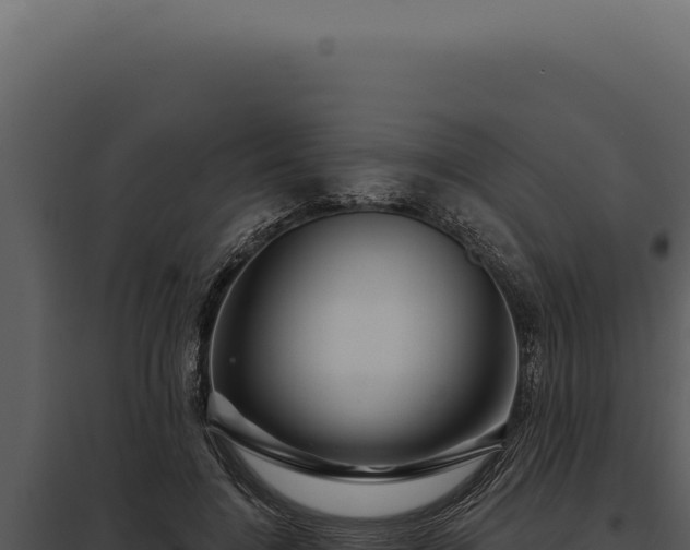 X0000097970548200804011723