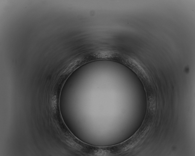 X0000097970549200804011723