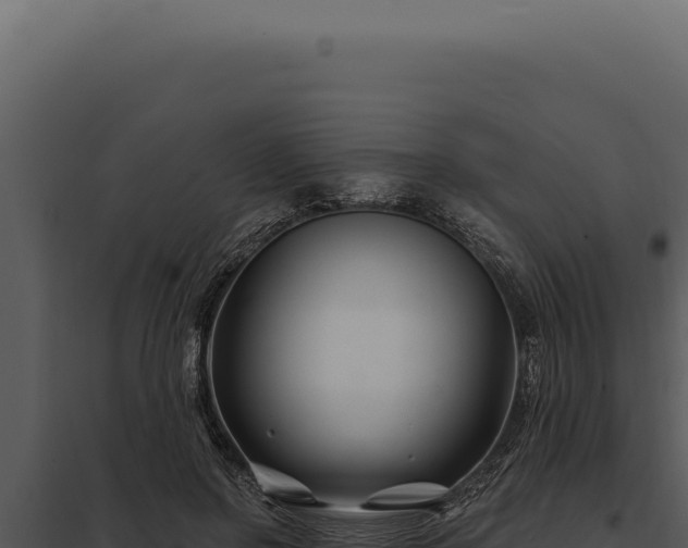 X0000097970550200804011723