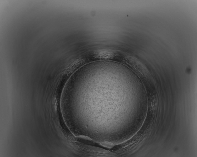 X0000097970551200804011723