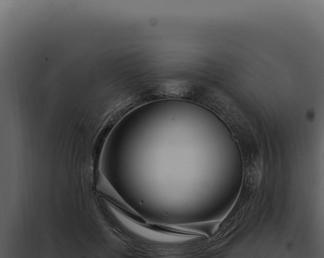 X0000097970552200804011723