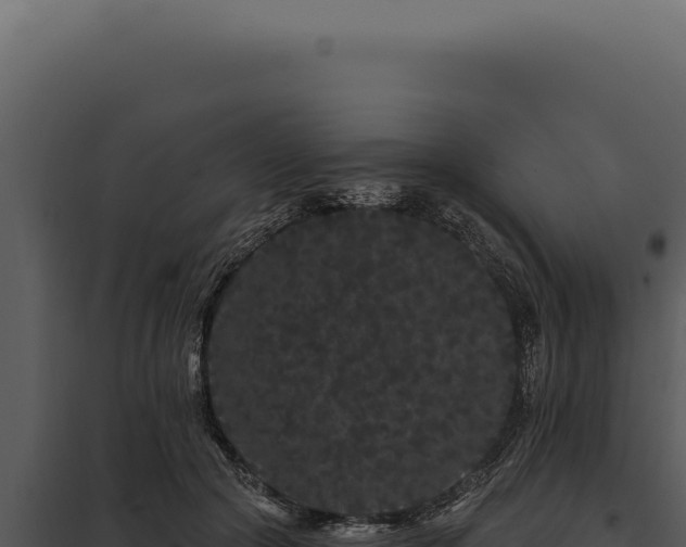 X0000097970553200804011723