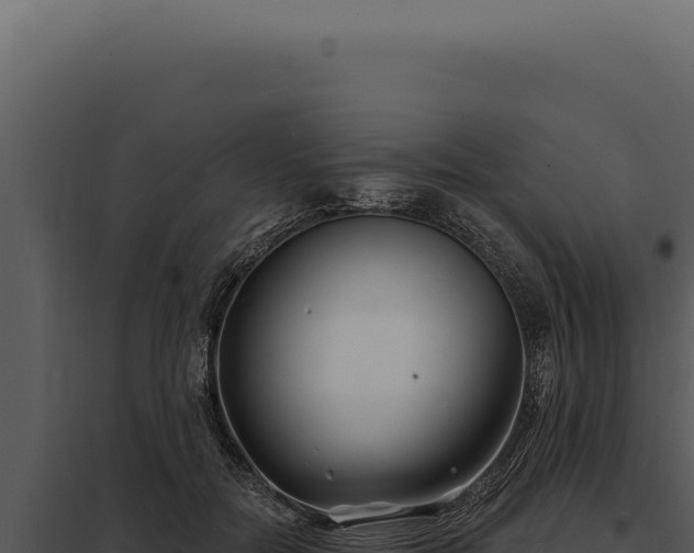 X0000097970554200804011723