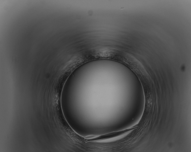 X0000097970555200804011723